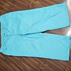 Christopher & Banks Light Blue Capri Pants